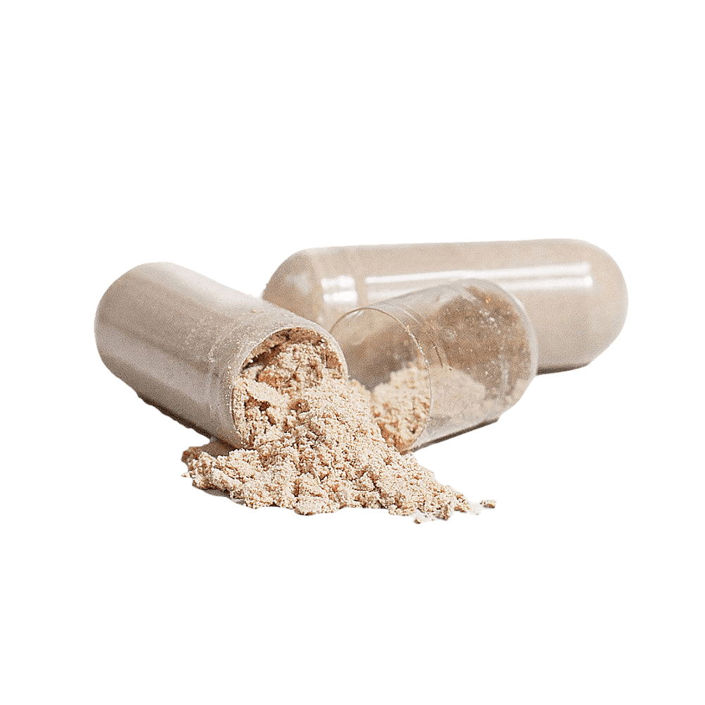 Lion's Mane (Full-Spectrum)